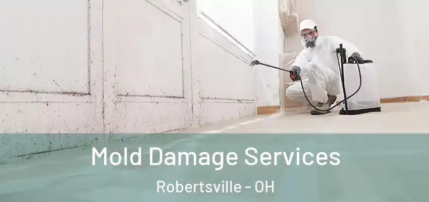 Mold Damage Services Robertsville - OH
