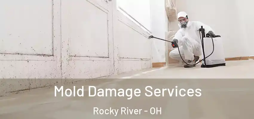 Mold Damage Services Rocky River - OH