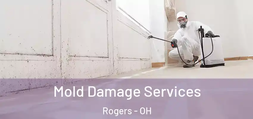  Mold Damage Services Rogers - OH