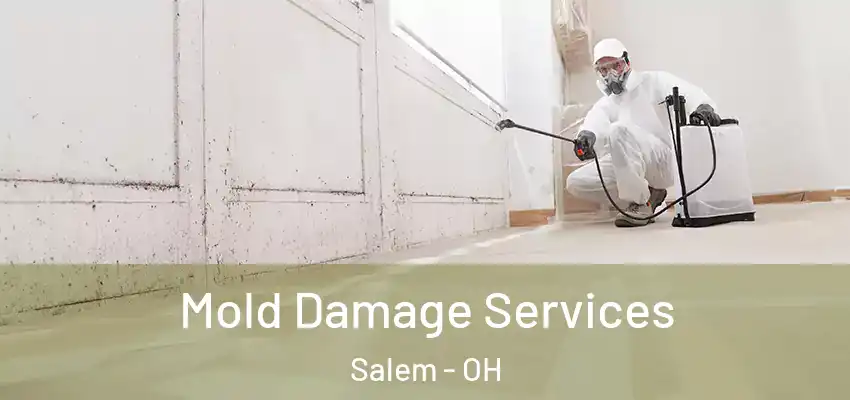  Mold Damage Services Salem - OH