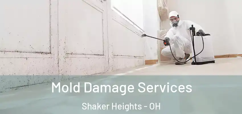 Mold Damage Services Shaker Heights - OH