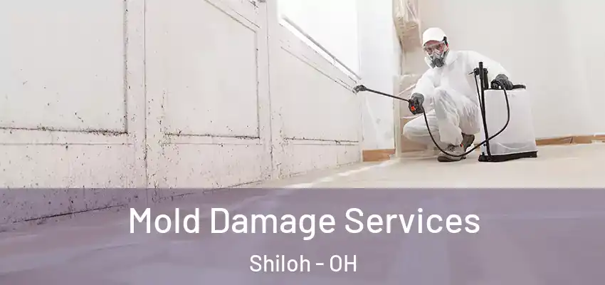  Mold Damage Services Shiloh - OH