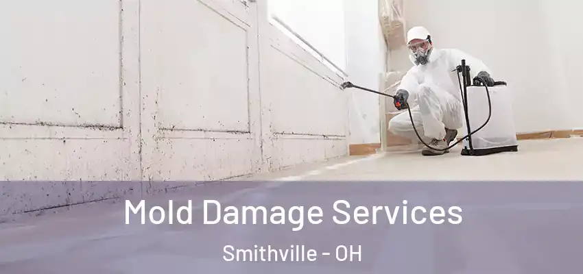  Mold Damage Services Smithville - OH