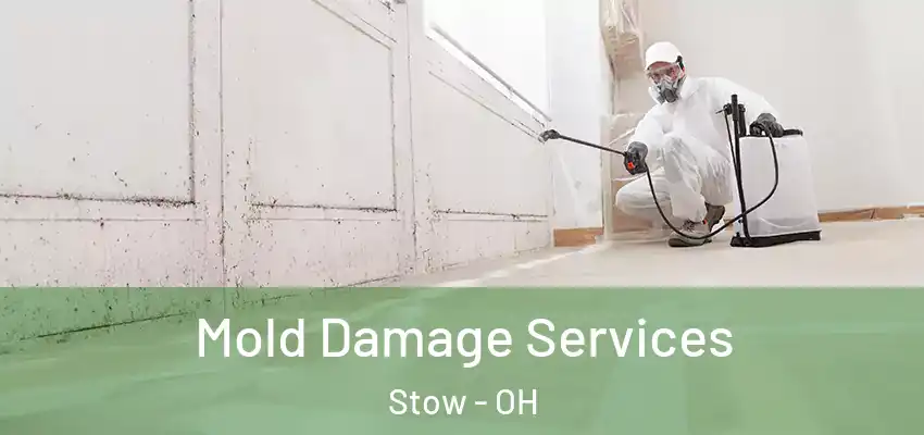  Mold Damage Services Stow - OH