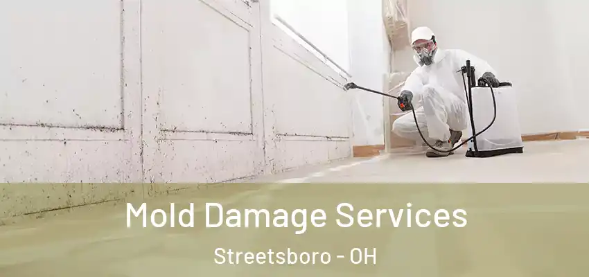 Mold Damage Services Streetsboro - OH