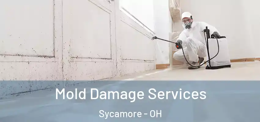  Mold Damage Services Sycamore - OH
