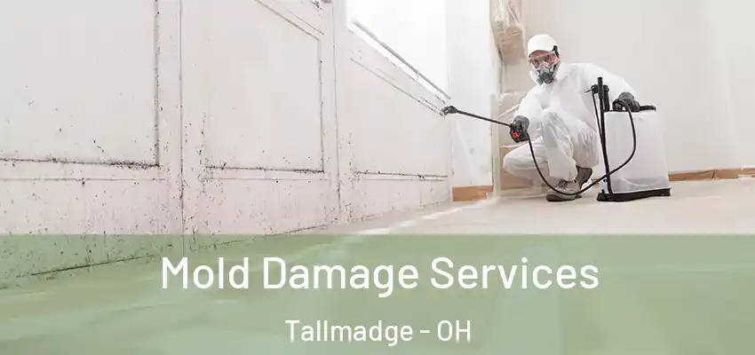 Mold Damage Services Tallmadge - OH