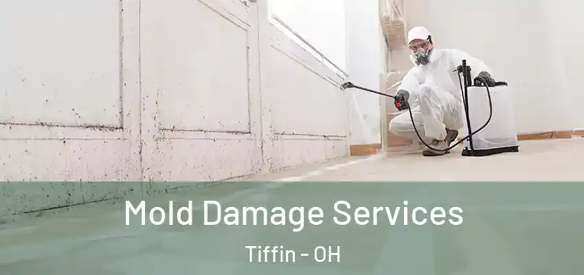  Mold Damage Services Tiffin - OH