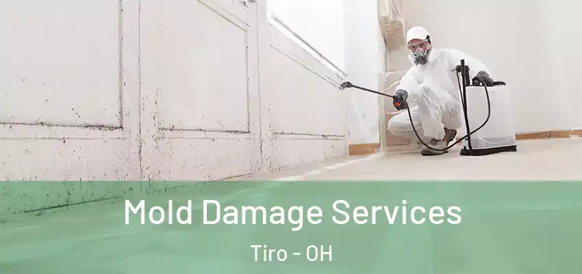  Mold Damage Services Tiro - OH