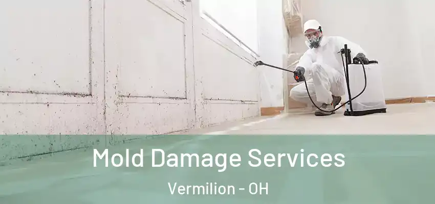 Mold Damage Services Vermilion - OH