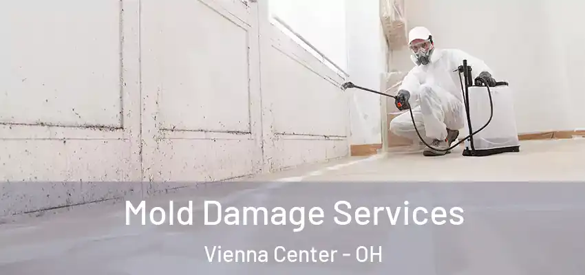 Mold Damage Services Vienna Center - OH