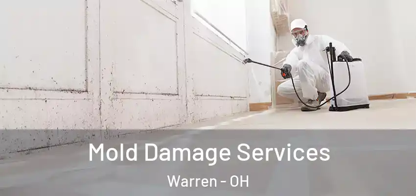  Mold Damage Services Warren - OH