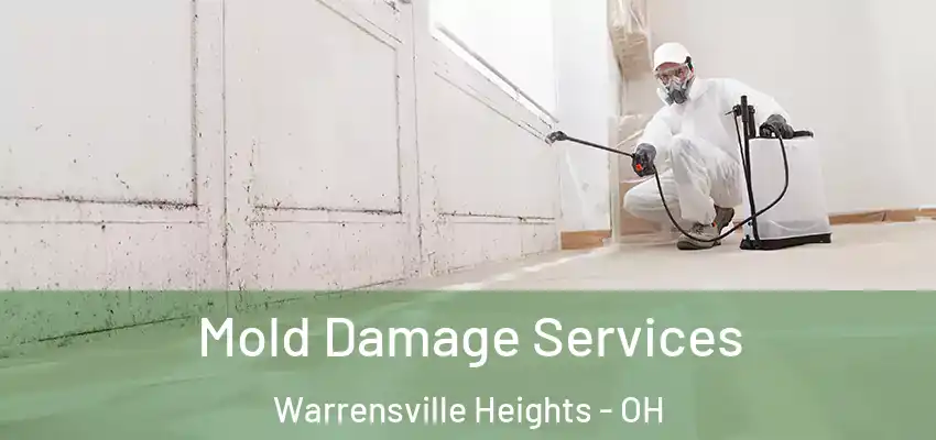 Mold Damage Services Warrensville Heights - OH