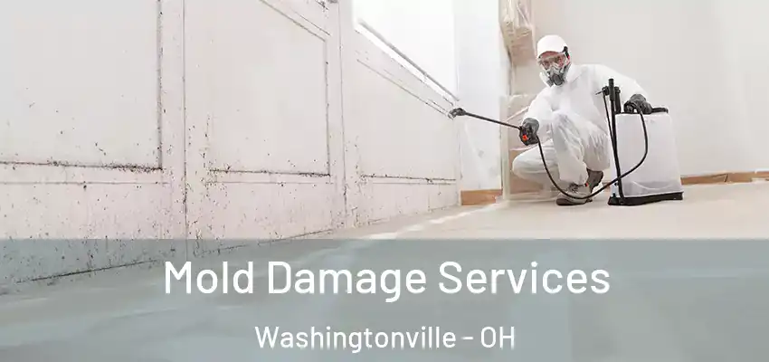 Mold Damage Services Washingtonville - OH