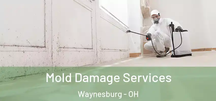 Mold Damage Services Waynesburg - OH