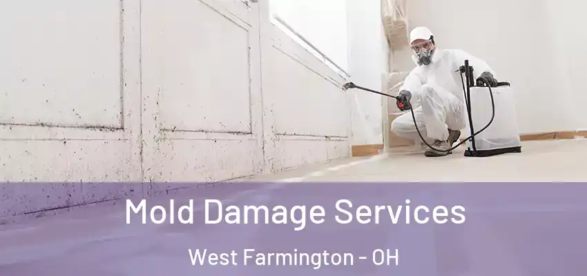 Mold Damage Services West Farmington - OH
