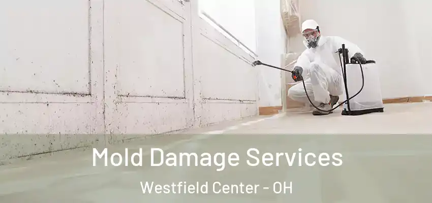 Mold Damage Services Westfield Center - OH
