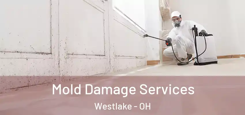 Mold Damage Services Westlake - OH