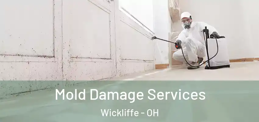  Mold Damage Services Wickliffe - OH