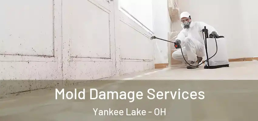 Mold Damage Services Yankee Lake - OH