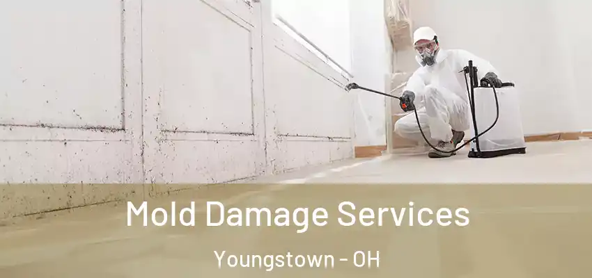  Mold Damage Services Youngstown - OH