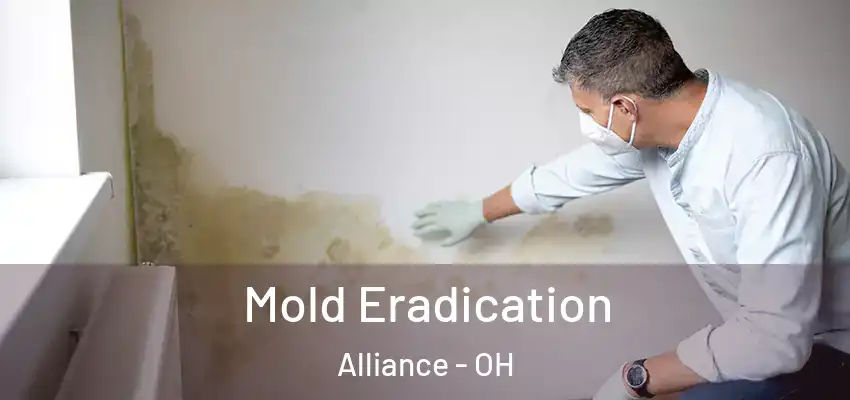  Mold Eradication Alliance - OH