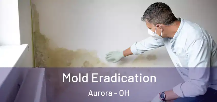 Mold Eradication Aurora - OH