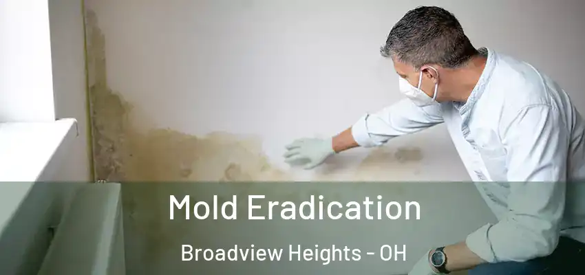 Mold Eradication Broadview Heights - OH