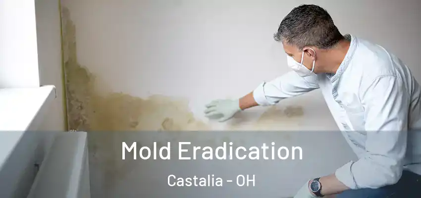 Mold Eradication Castalia - OH