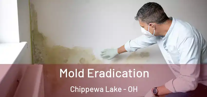 Mold Eradication Chippewa Lake - OH