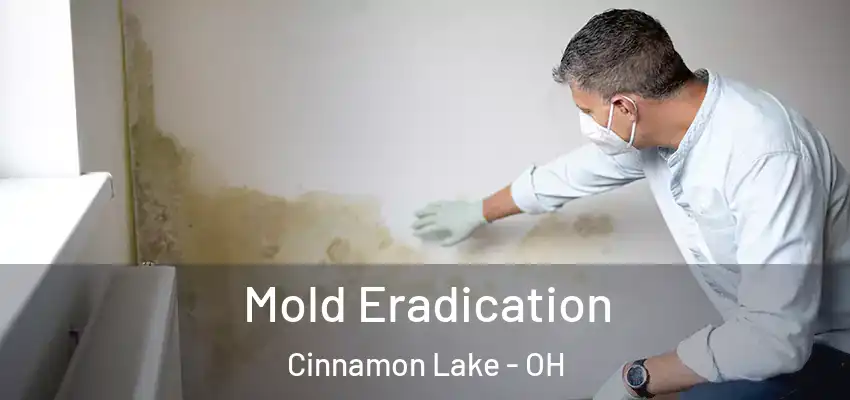  Mold Eradication Cinnamon Lake - OH