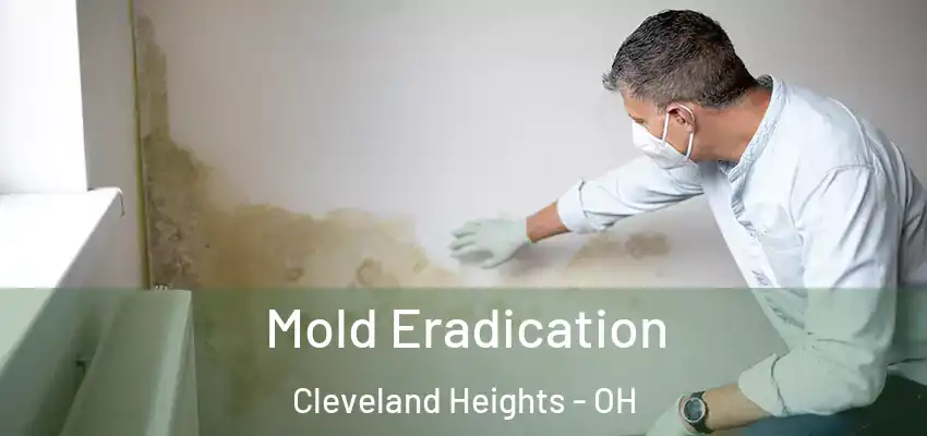  Mold Eradication Cleveland Heights - OH