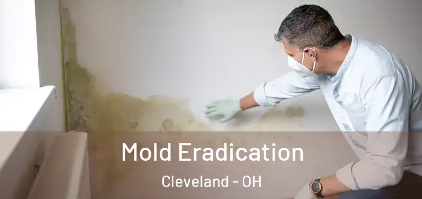 Mold Eradication Cleveland - OH