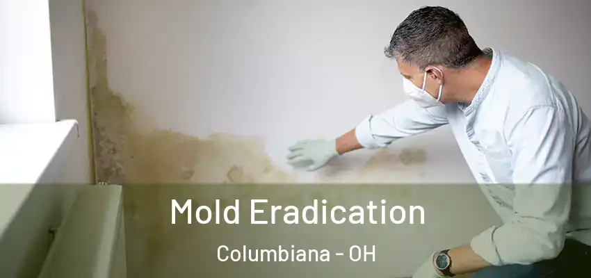  Mold Eradication Columbiana - OH