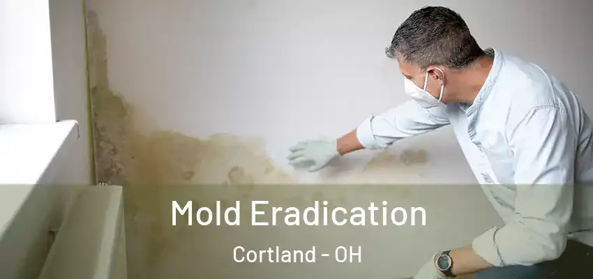 Mold Eradication Cortland - OH