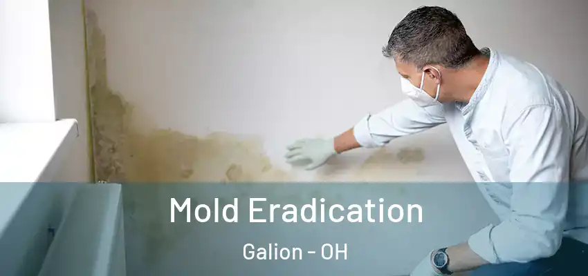  Mold Eradication Galion - OH