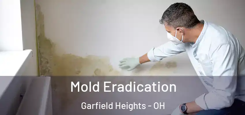 Mold Eradication Garfield Heights - OH