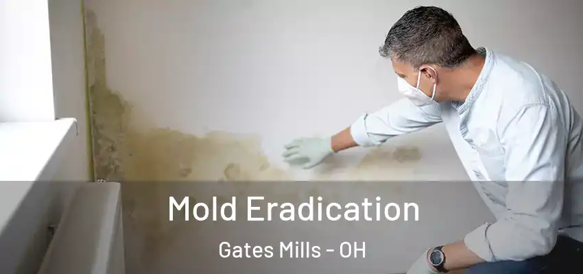 Mold Eradication Gates Mills - OH