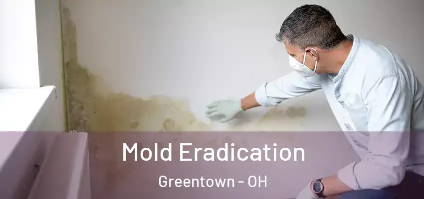  Mold Eradication Greentown - OH