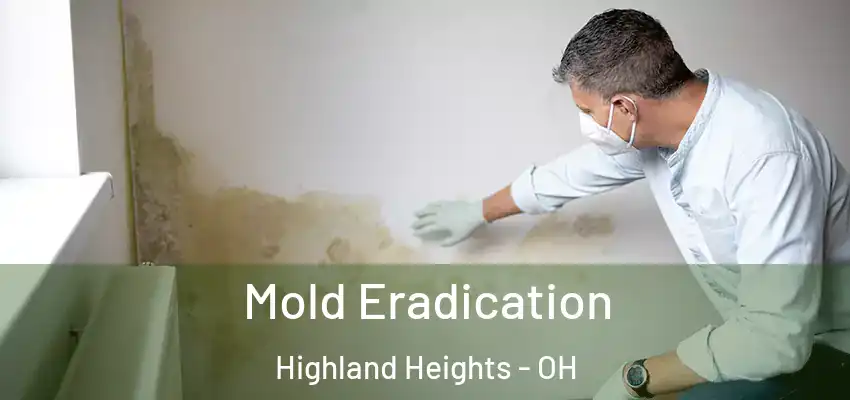 Mold Eradication Highland Heights - OH