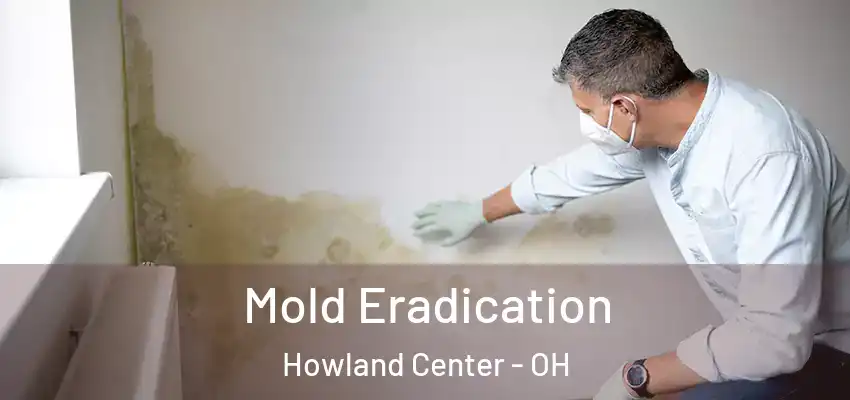 Mold Eradication Howland Center - OH