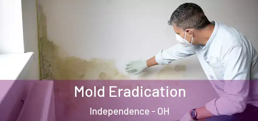  Mold Eradication Independence - OH