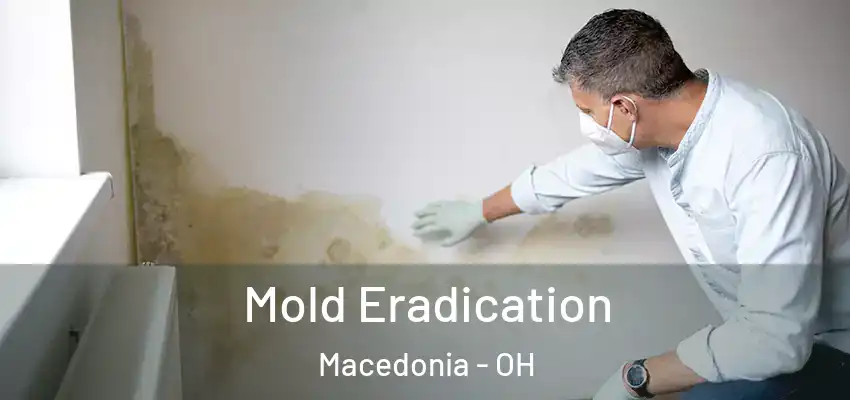  Mold Eradication Macedonia - OH