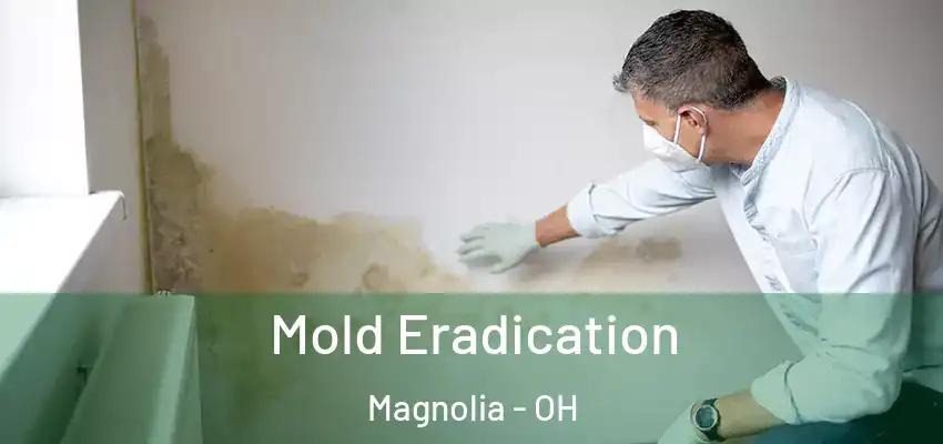 Mold Eradication Magnolia - OH
