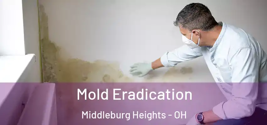 Mold Eradication Middleburg Heights - OH