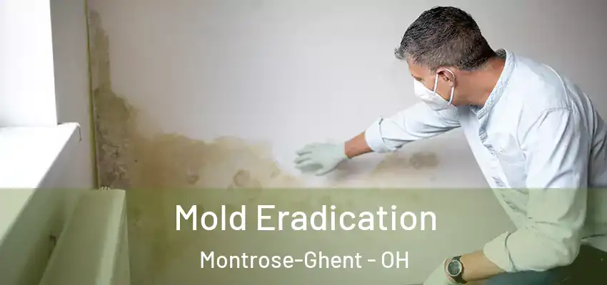 Mold Eradication Montrose-Ghent - OH