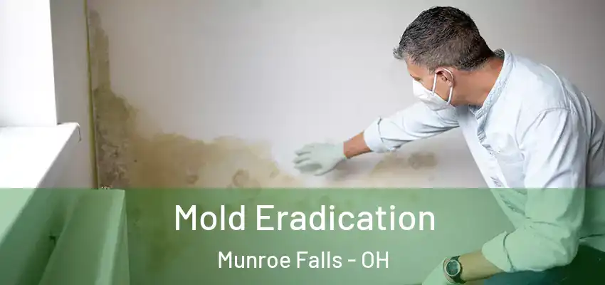  Mold Eradication Munroe Falls - OH