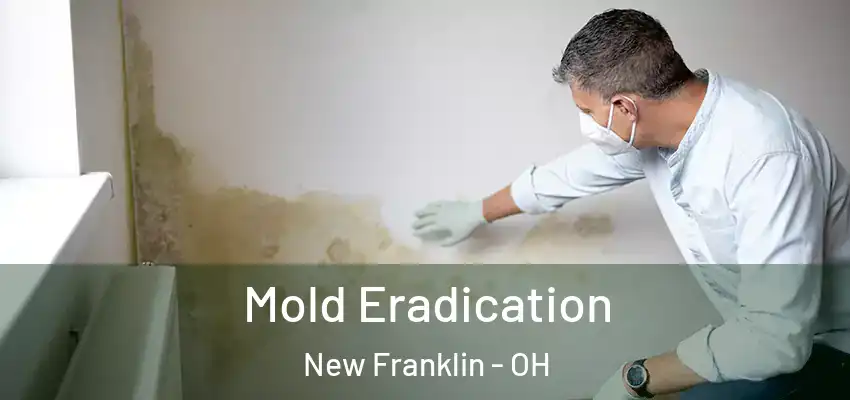 Mold Eradication New Franklin - OH