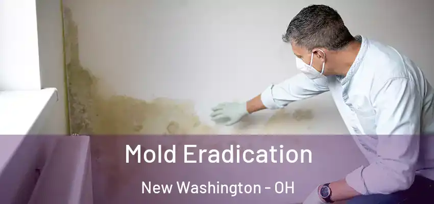 Mold Eradication New Washington - OH