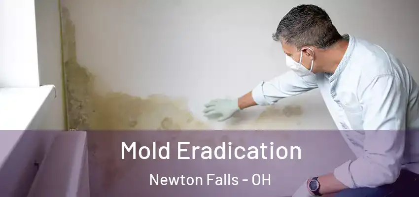 Mold Eradication Newton Falls - OH